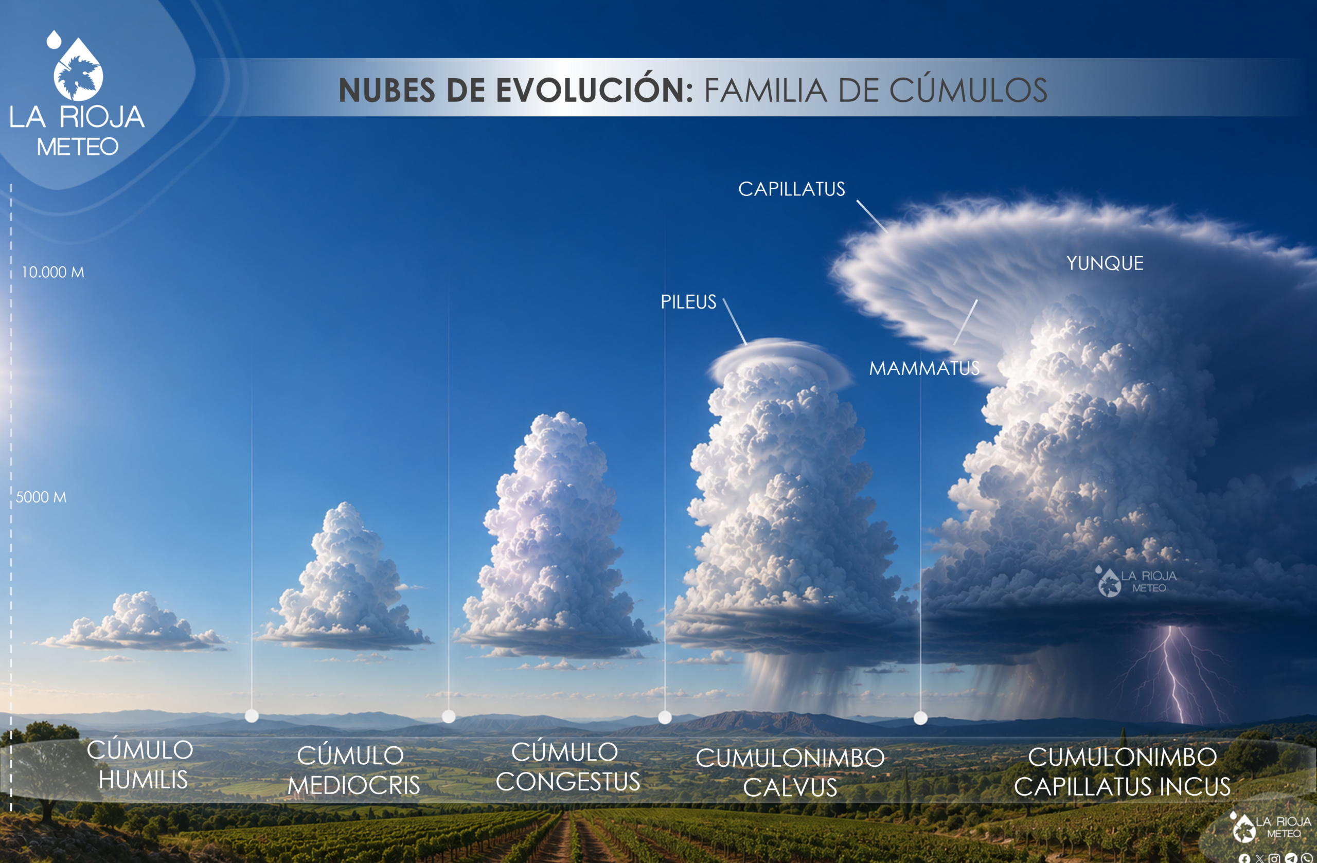 Nubes de evolución tipos en función de su desarrollo vertical