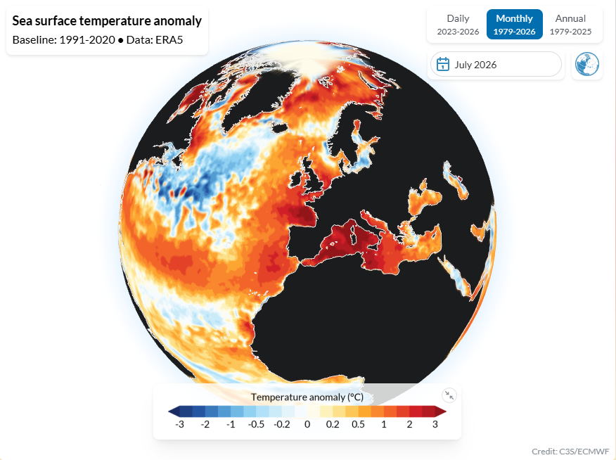 Anomalía de temperatura superficial del mar en julio de 2026. Copernicus, climate pulse.