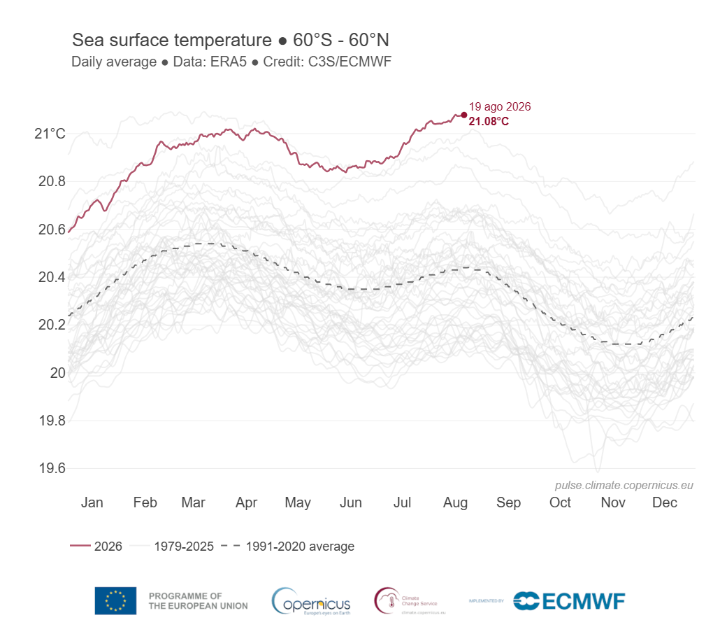 Evolución de la temperatura global de los océanos en 2026. Copernicus, climate pulse.