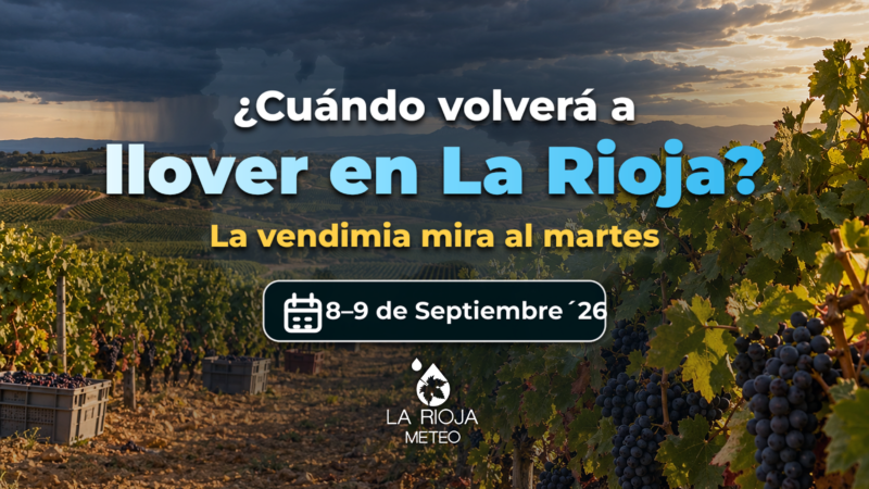¿Cuándo volverá a llover en La Rioja? La vendimia mira al cielo.
